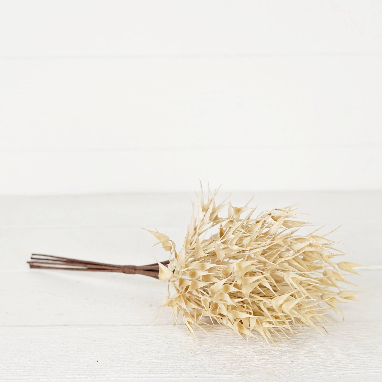 530061- 16in Bush-Cream Bearded Wheat Grass- -