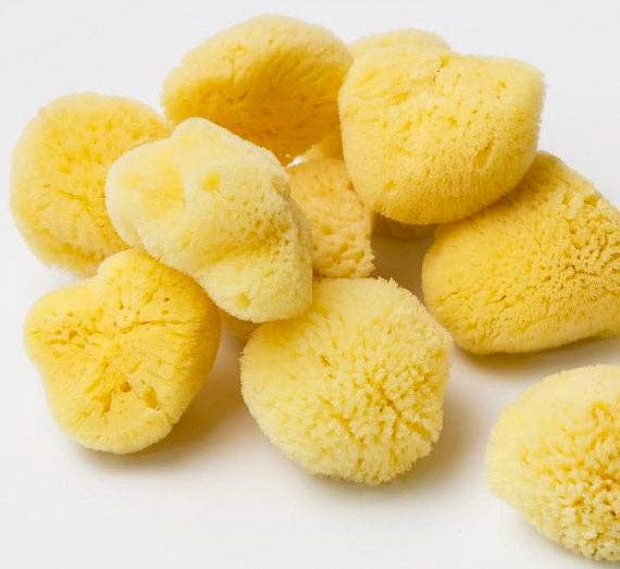 Natural Sea Sponge - Plastic Free Organic Sea Sponge -