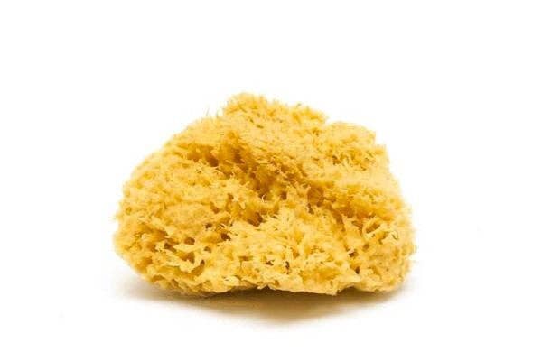 Natural Sea Sponge - Plastic Free Organic Sea Sponge -
