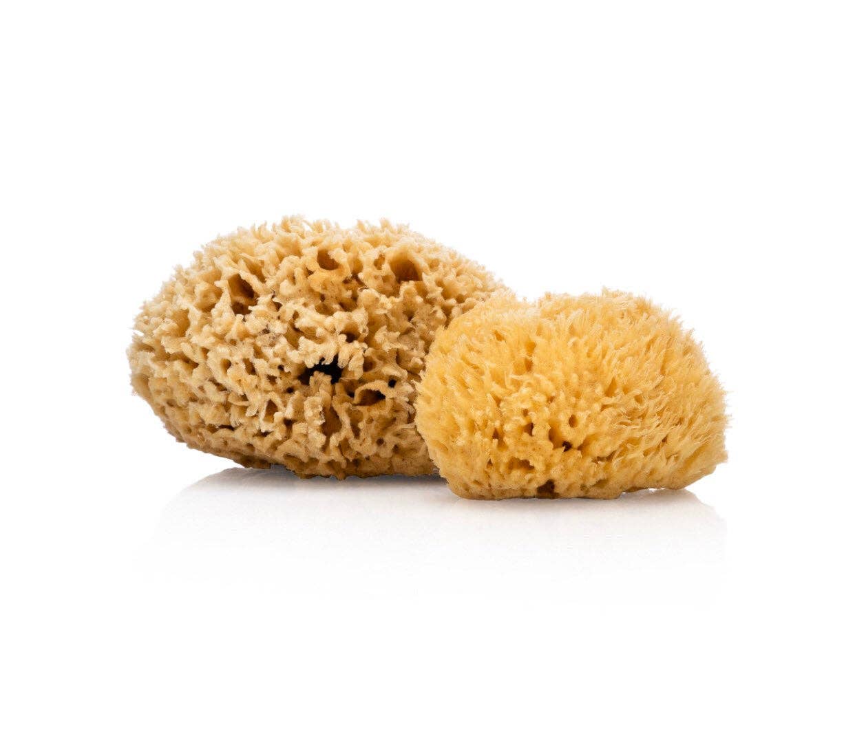 Natural Sea Sponge - Plastic Free Organic Sea Sponge -