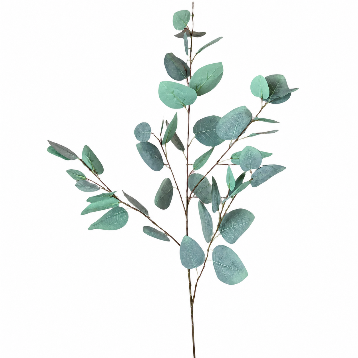 37" Silver Dollar Eucalyptus Spray -