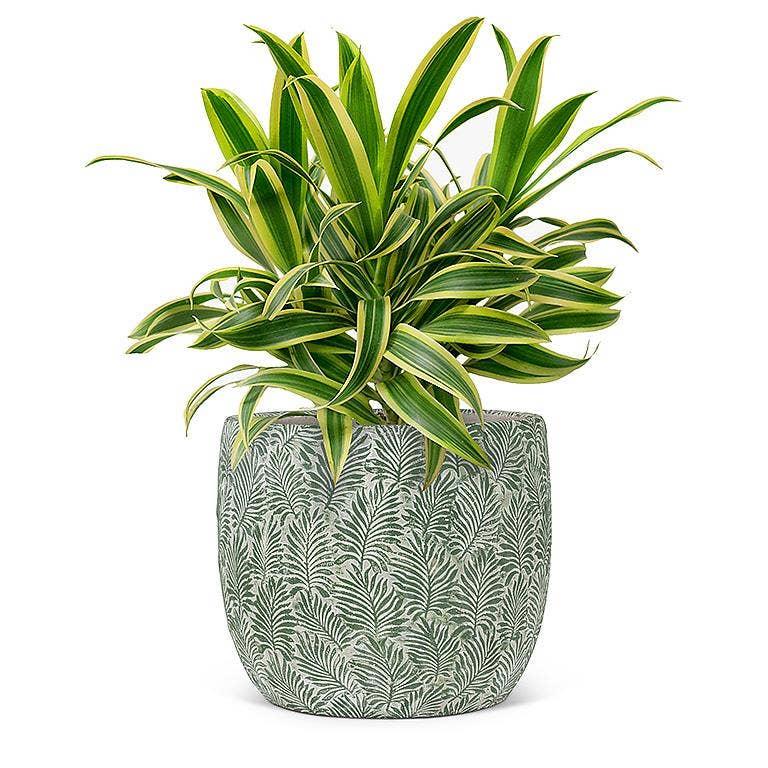 Green Leaf Planter -