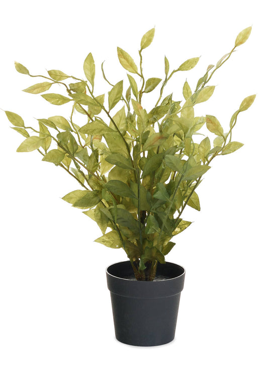 LEAF PLANT POTTED PLST GREEN 9X14 -