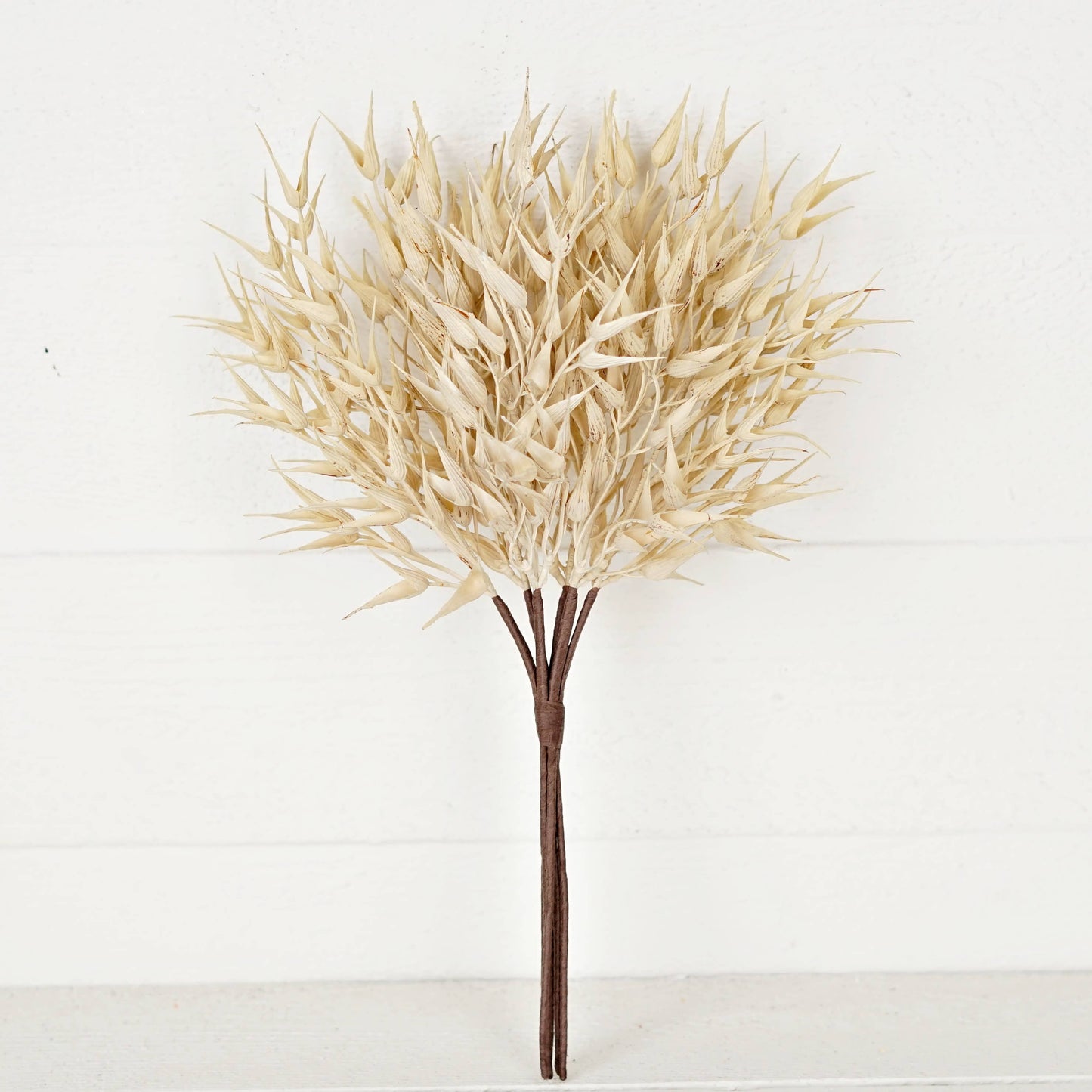 530061- 16in Bush-Cream Bearded Wheat Grass- -