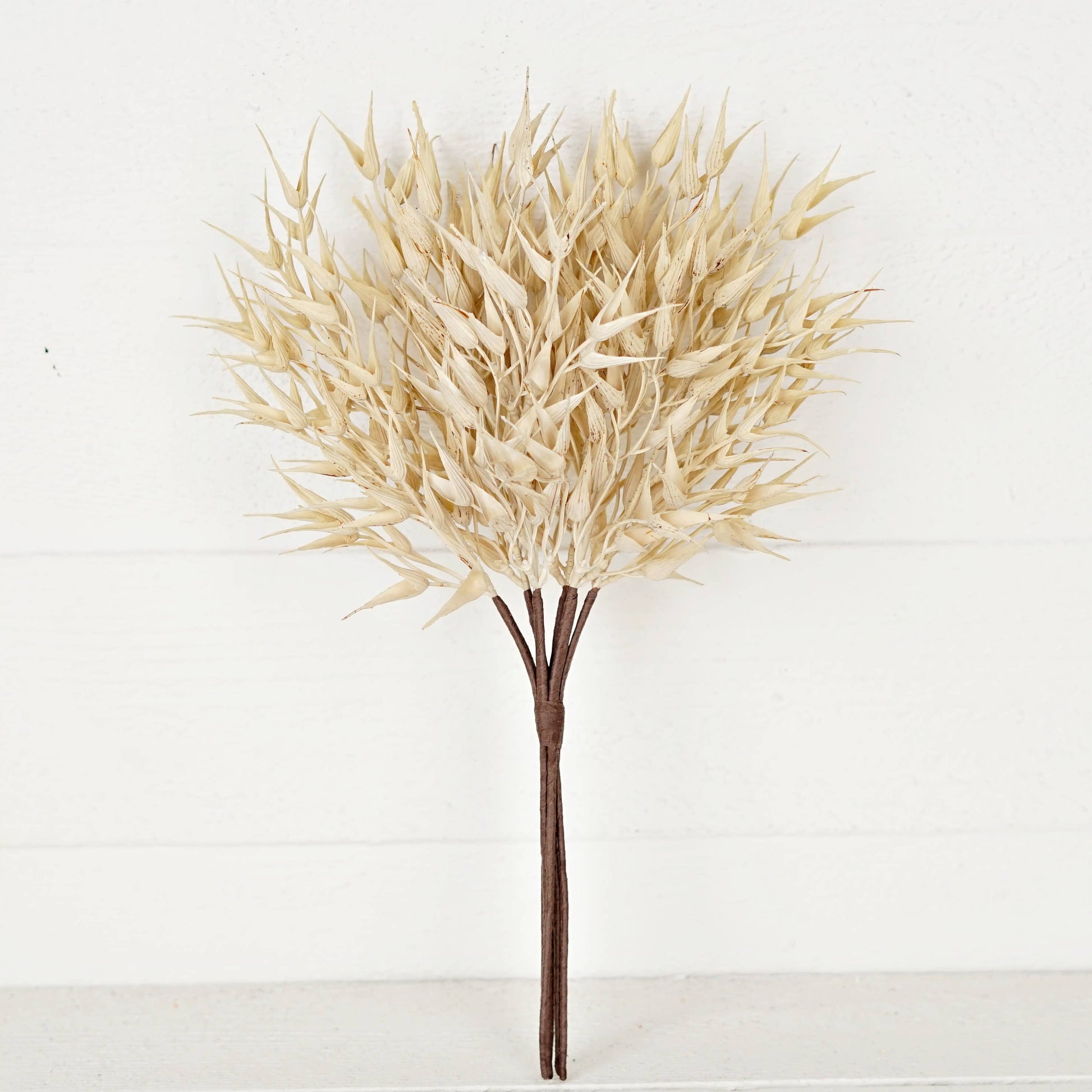530061- 16in Bush-Cream Bearded Wheat Grass- -