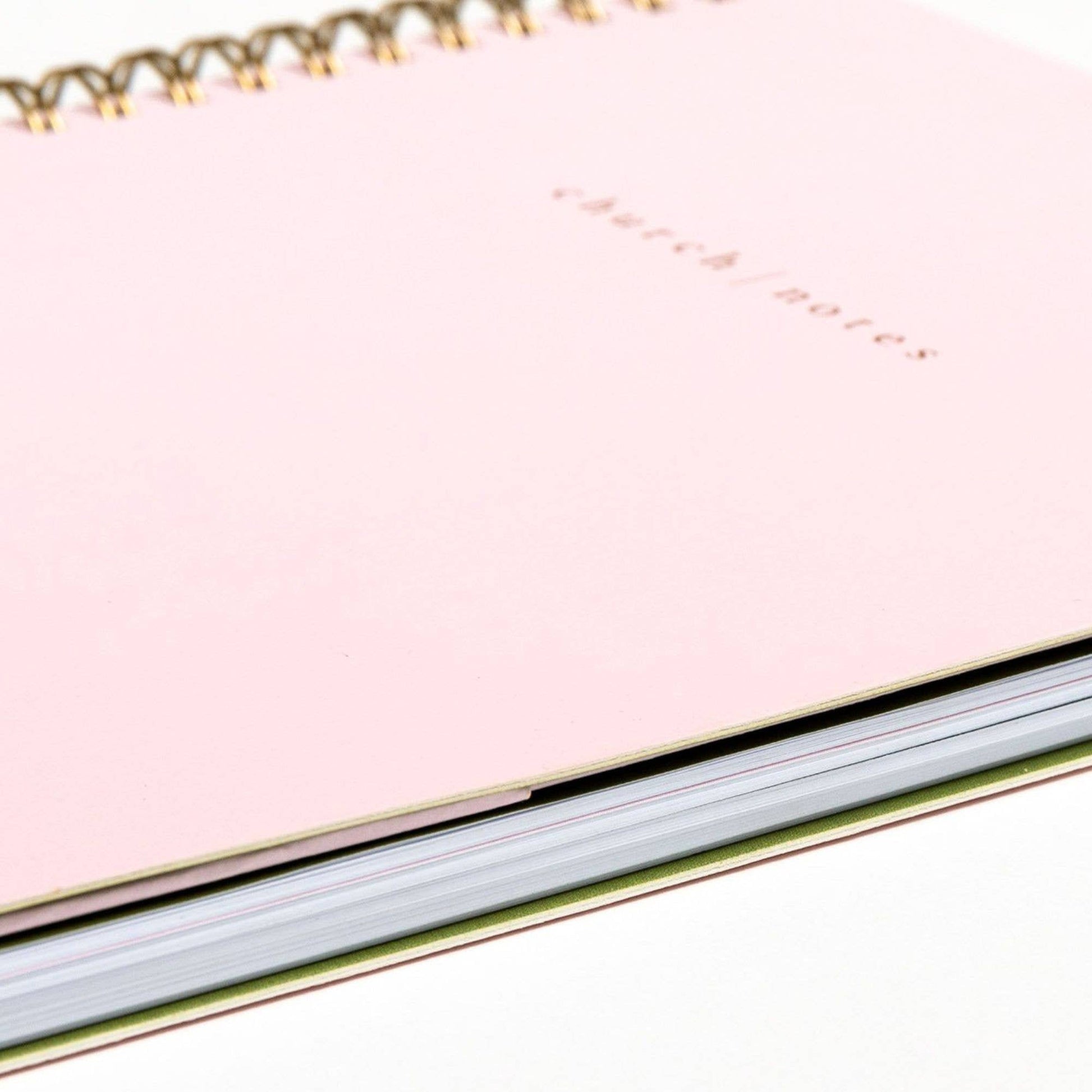 Blush Church Notes Bible Study Notebook -