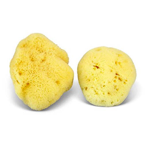 Natural Sea Sponge - Plastic Free Organic Sea Sponge -