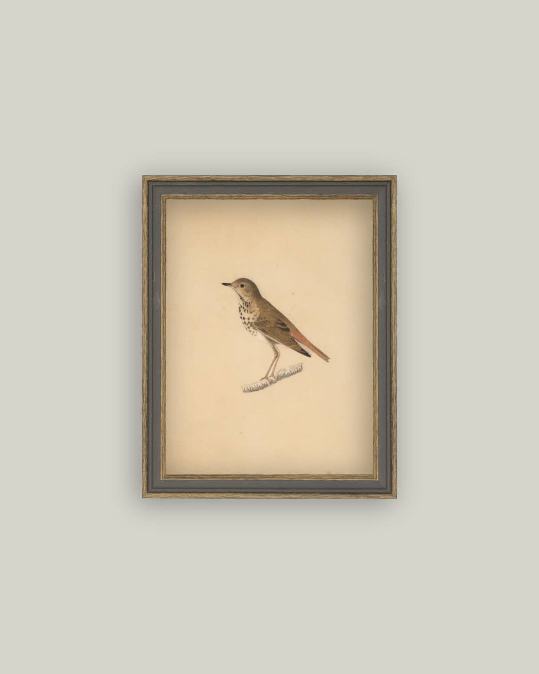 Bird Framed Antique Art -