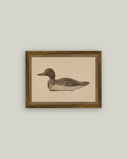 Wooden Duck Decoy Framed Antique Art -