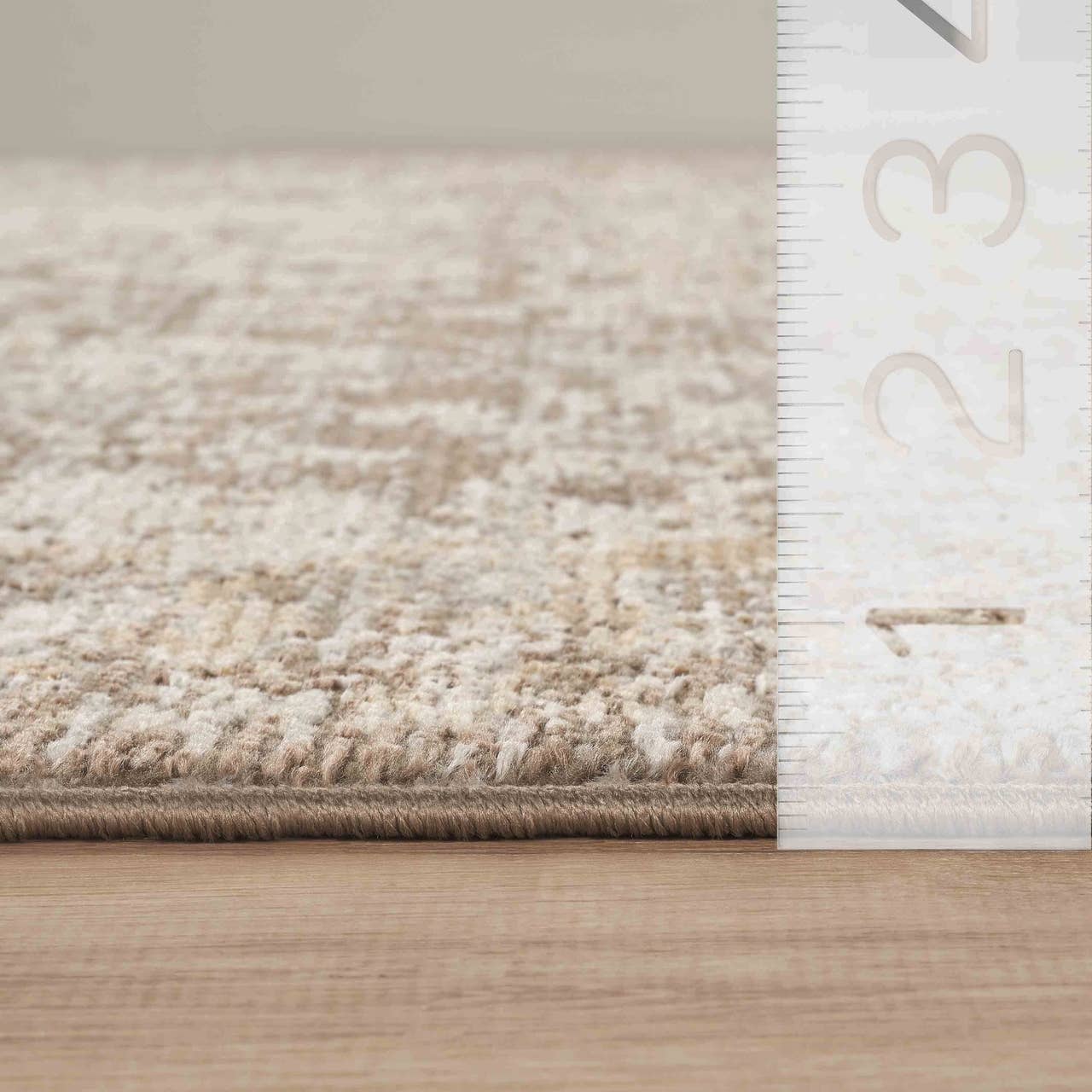 Evelyn Distressed Floral Beige Taupe Area Rug -