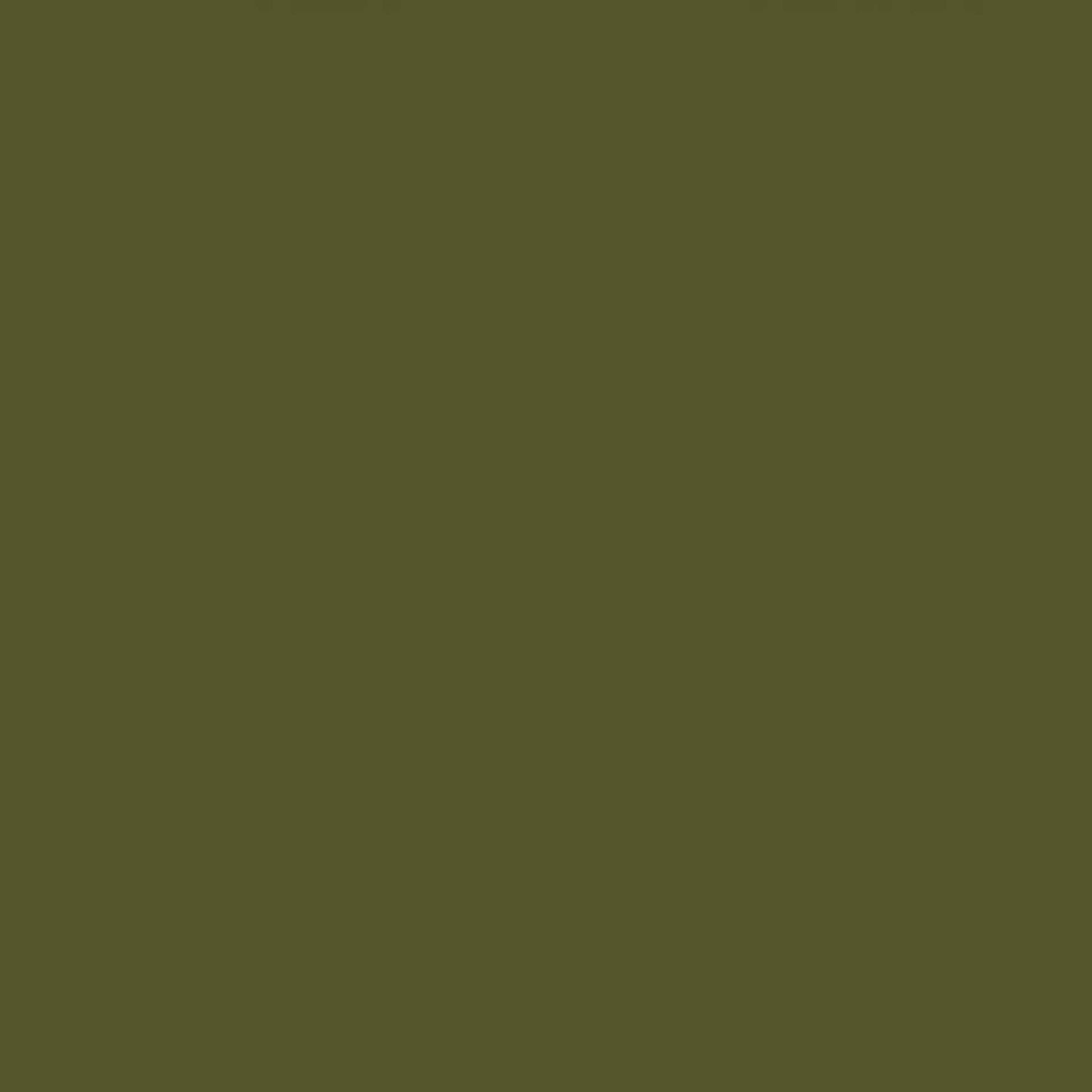 10" Straight Candles Set/2 Olive Paraffin -