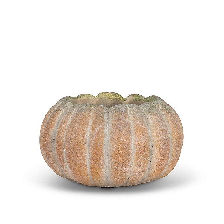 Cement Pumpkin Planter -