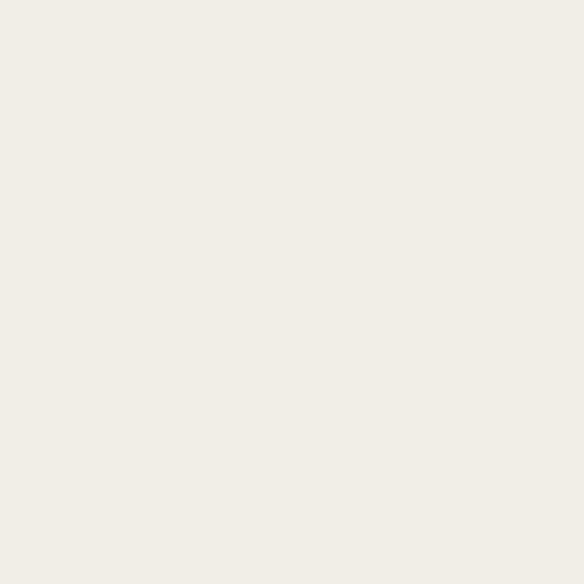 10" Straight Candles Set/2 Ivory Paraffin -
