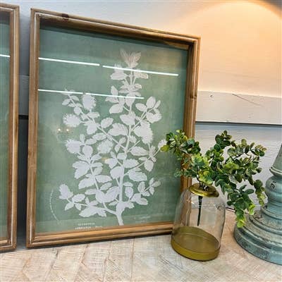 Botanical Wall Art Set of 2 with Glass 20''X16'' -