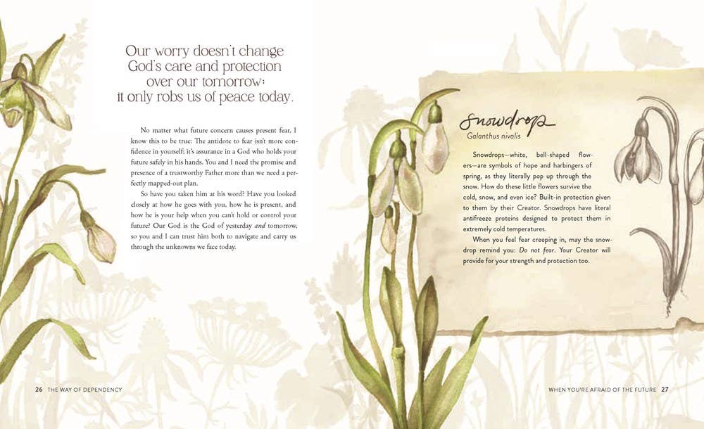 The Way Of The Wildflower Gospel Meditations To Unburden Your Anxious Soul