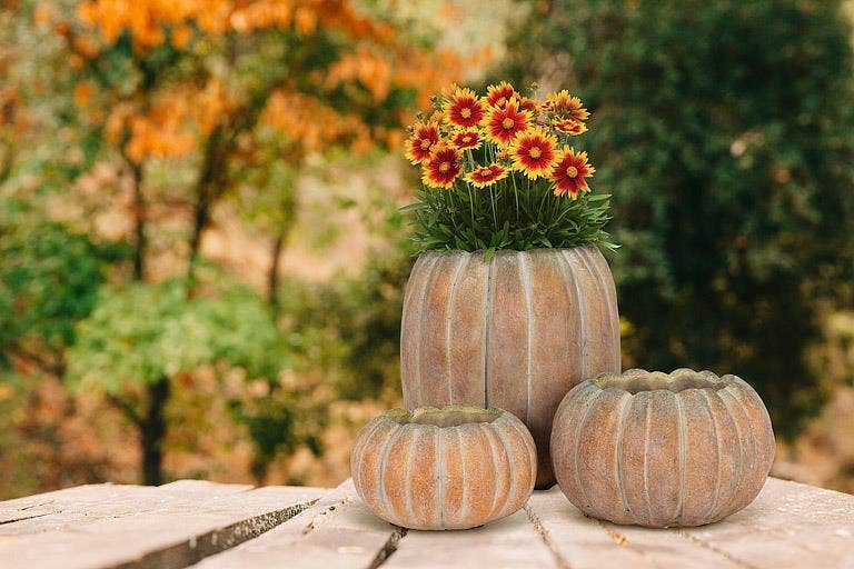 Cement Pumpkin Planter -